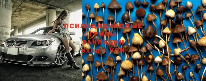 Псилоцибиновые грибы Magic Shrooms  магазин    Стерлитамак 